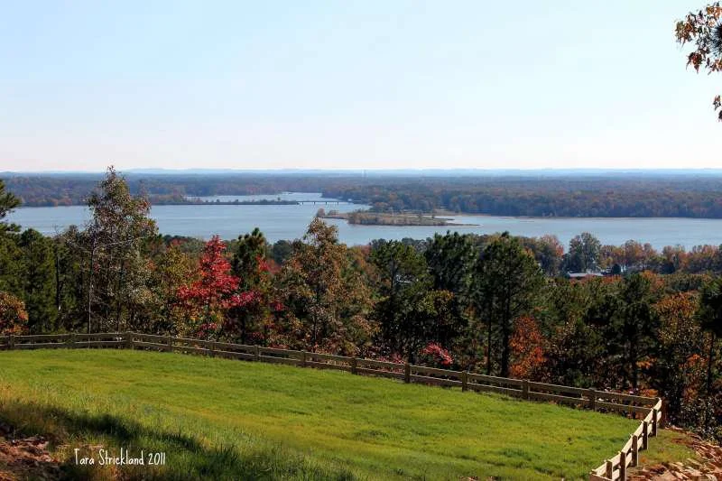 Archival landscape photograph of Weiss Lake area, 2011 (photo: Tara Strickland)