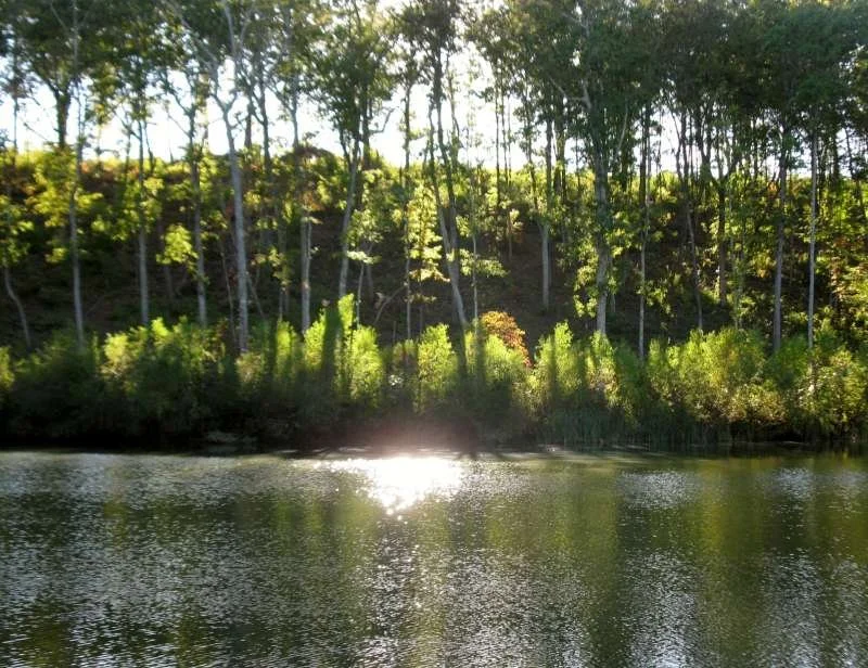 Sunset over the private fishing pond at The Bluffs