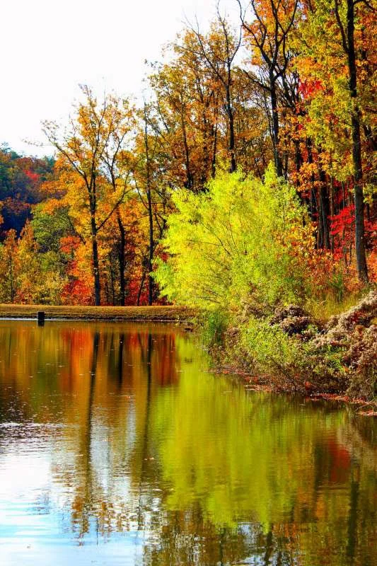 Forest and lake scenery on the mountain peninsula