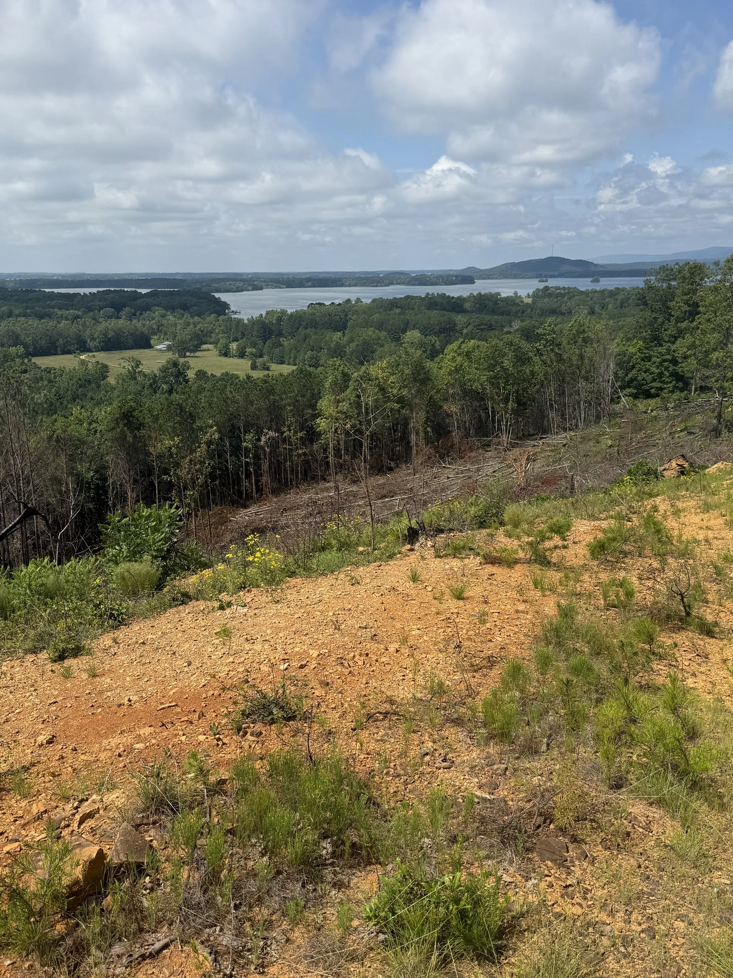 Finished custom home with mountain and lake views at The Bluffs