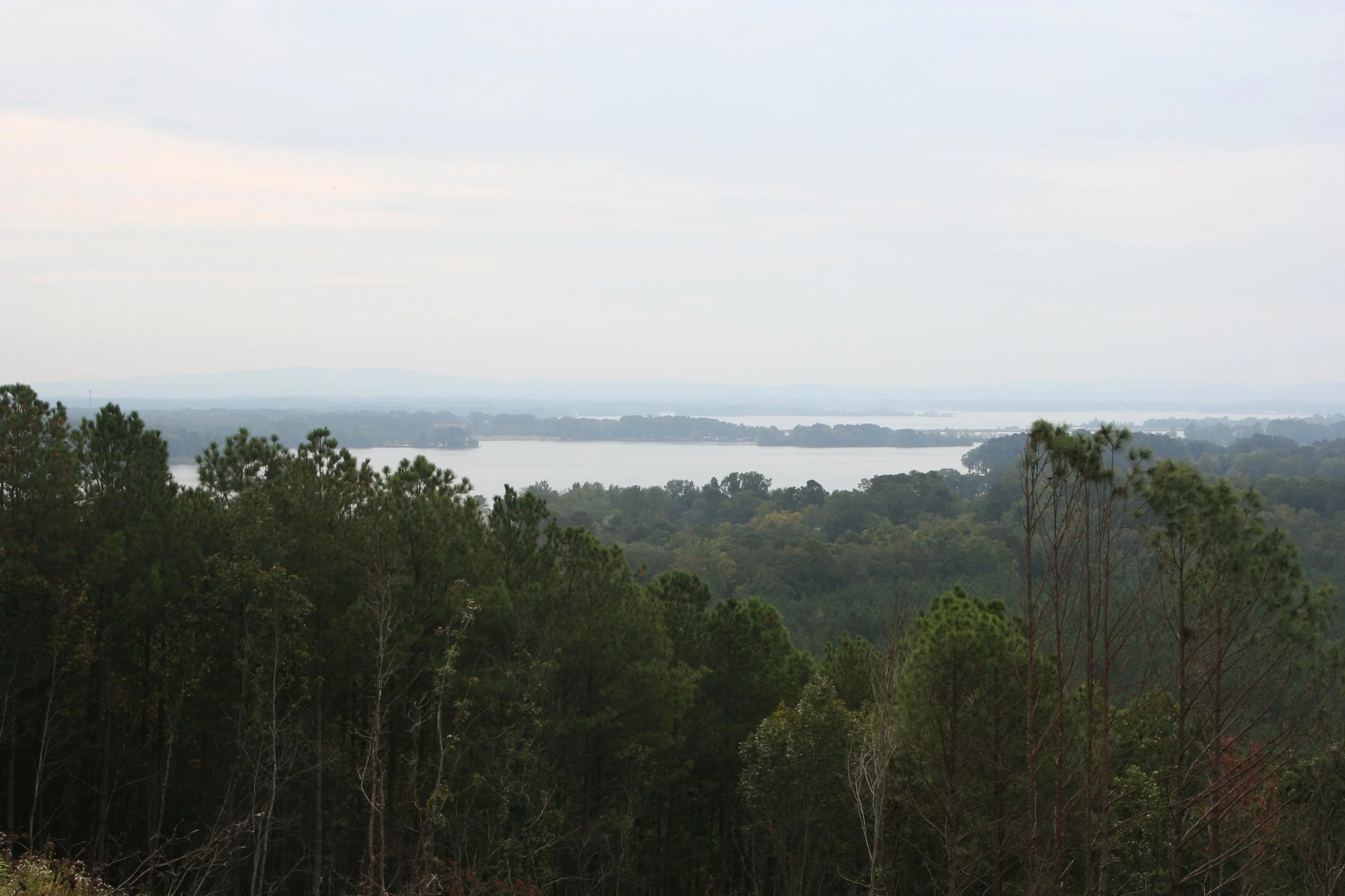 Lots 5 & 6 — wooded setting and natural surroundings