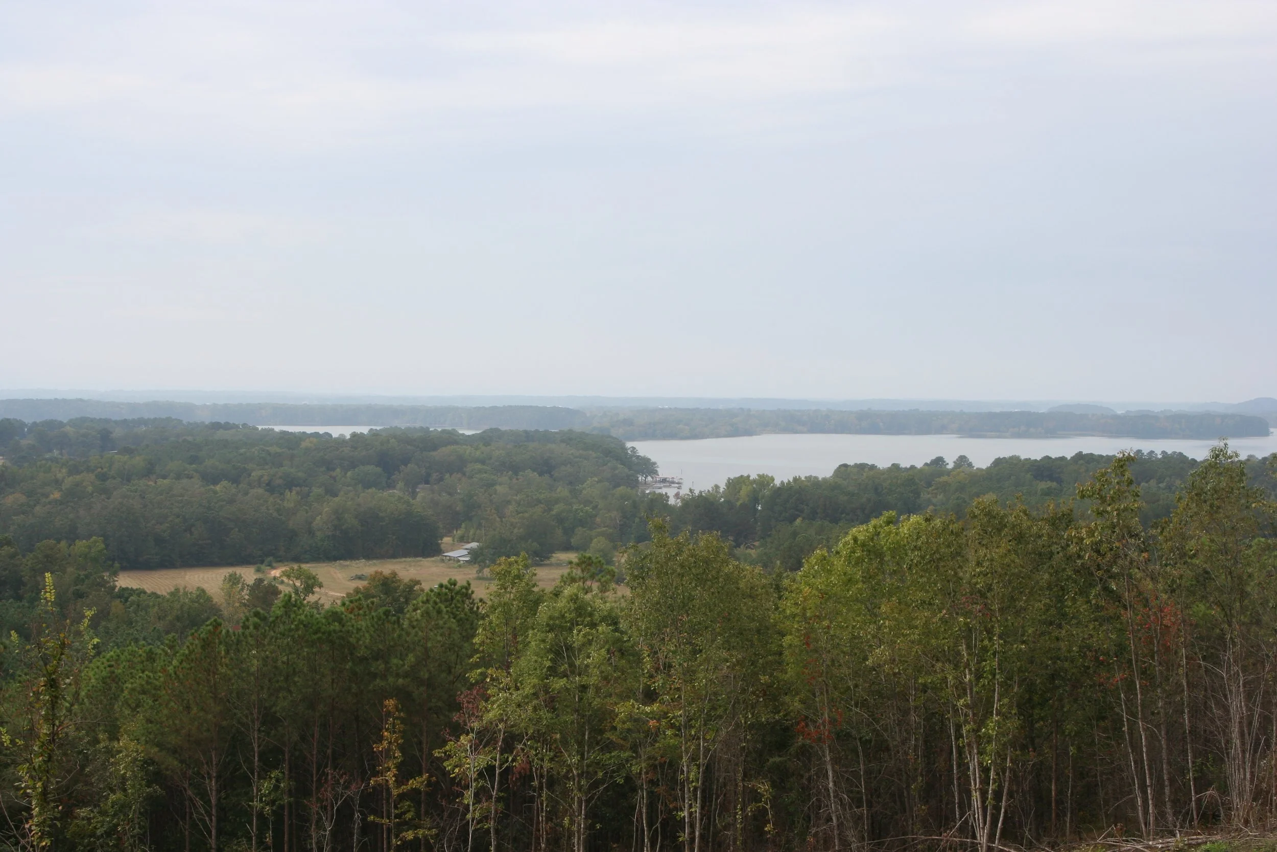 Lots 5 & 6 — elevated view of Weiss Lake