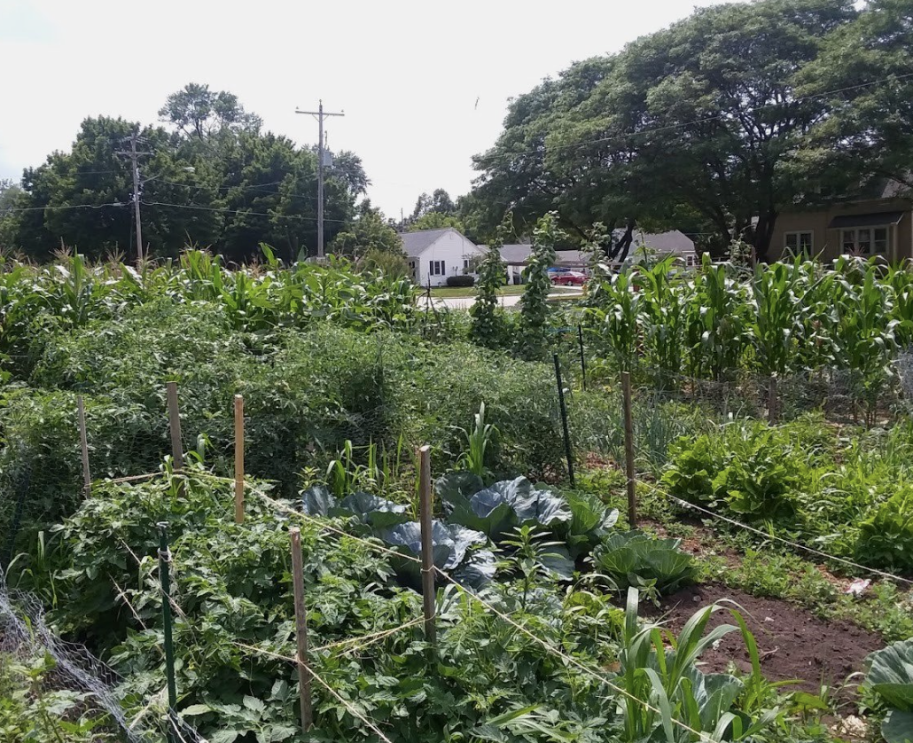 Community gardens and restored orchard at The Bluffs