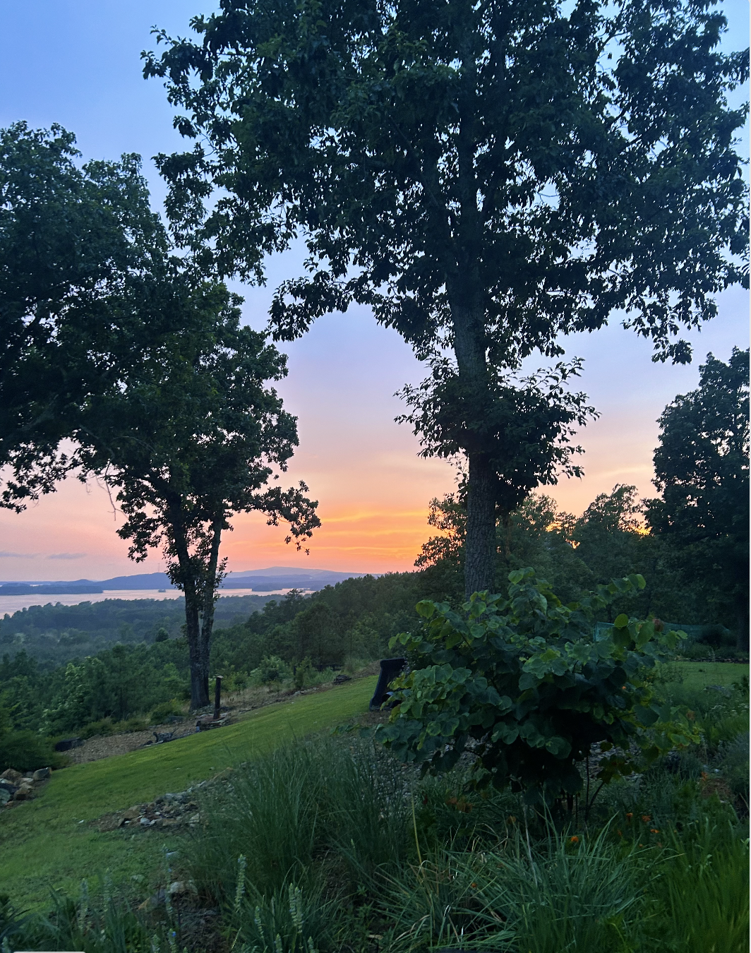 Sunset over the treeline at The Bluffs, Weiss Lake